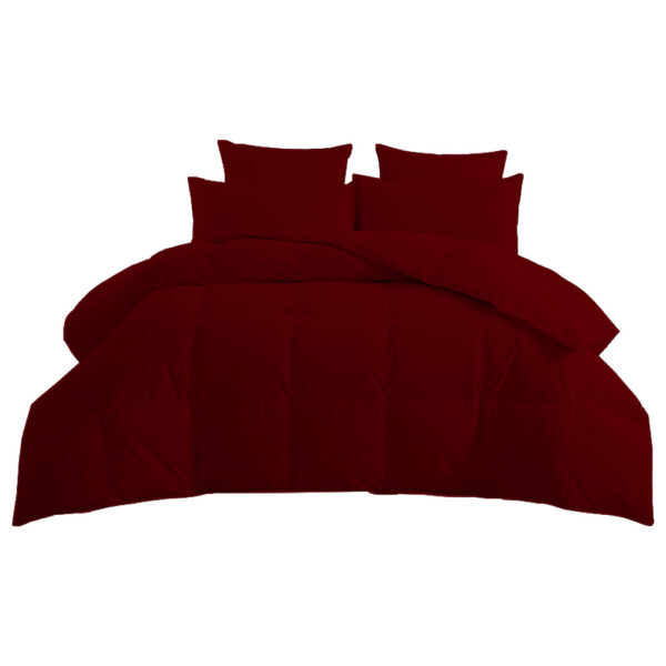Burgandy Comforter No BG