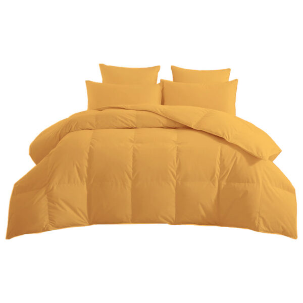 Golden Comforter No BG
