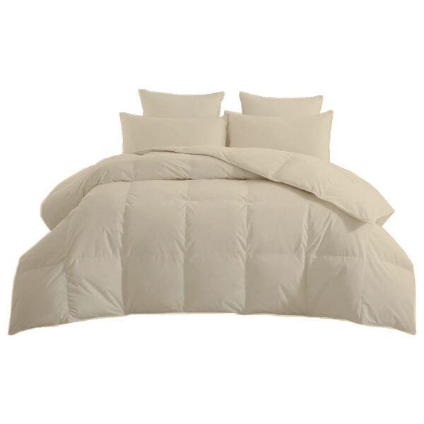 Ivory Comforter No BG