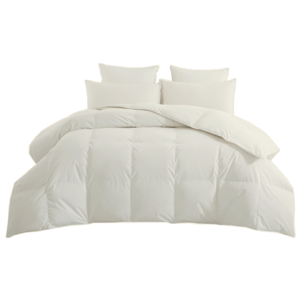 Ivory Comforter No BG