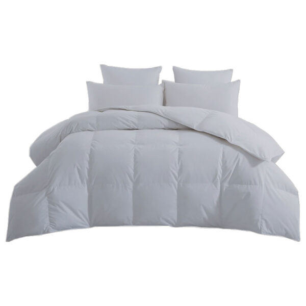 Silver Grey Comforter No BG