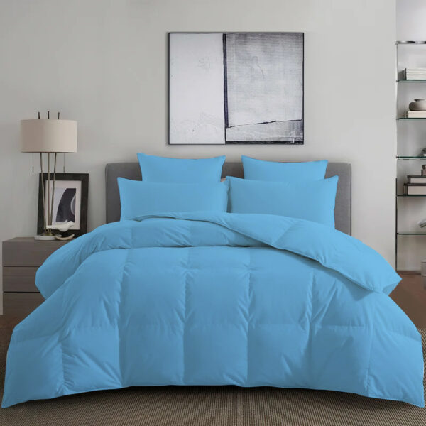 Blue Comforter Room